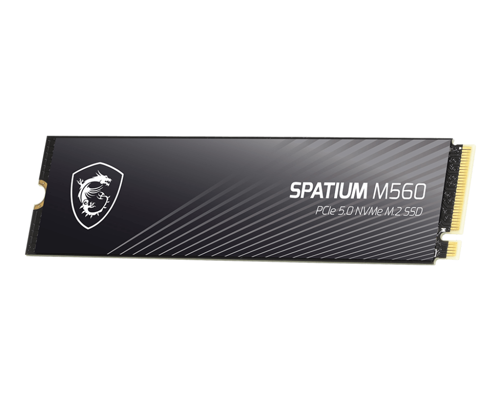 1TB MSI SPATIUM M560 M.2 SSD