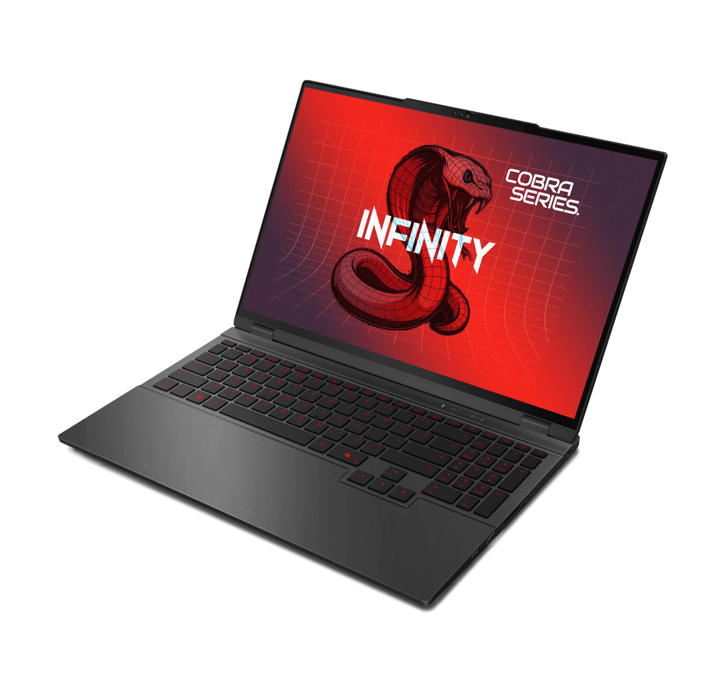 INFINITY COBRA 6 (WQXGA) GAMING NOTEBOOK (MODEL COBRA 6-DRAR9-899)