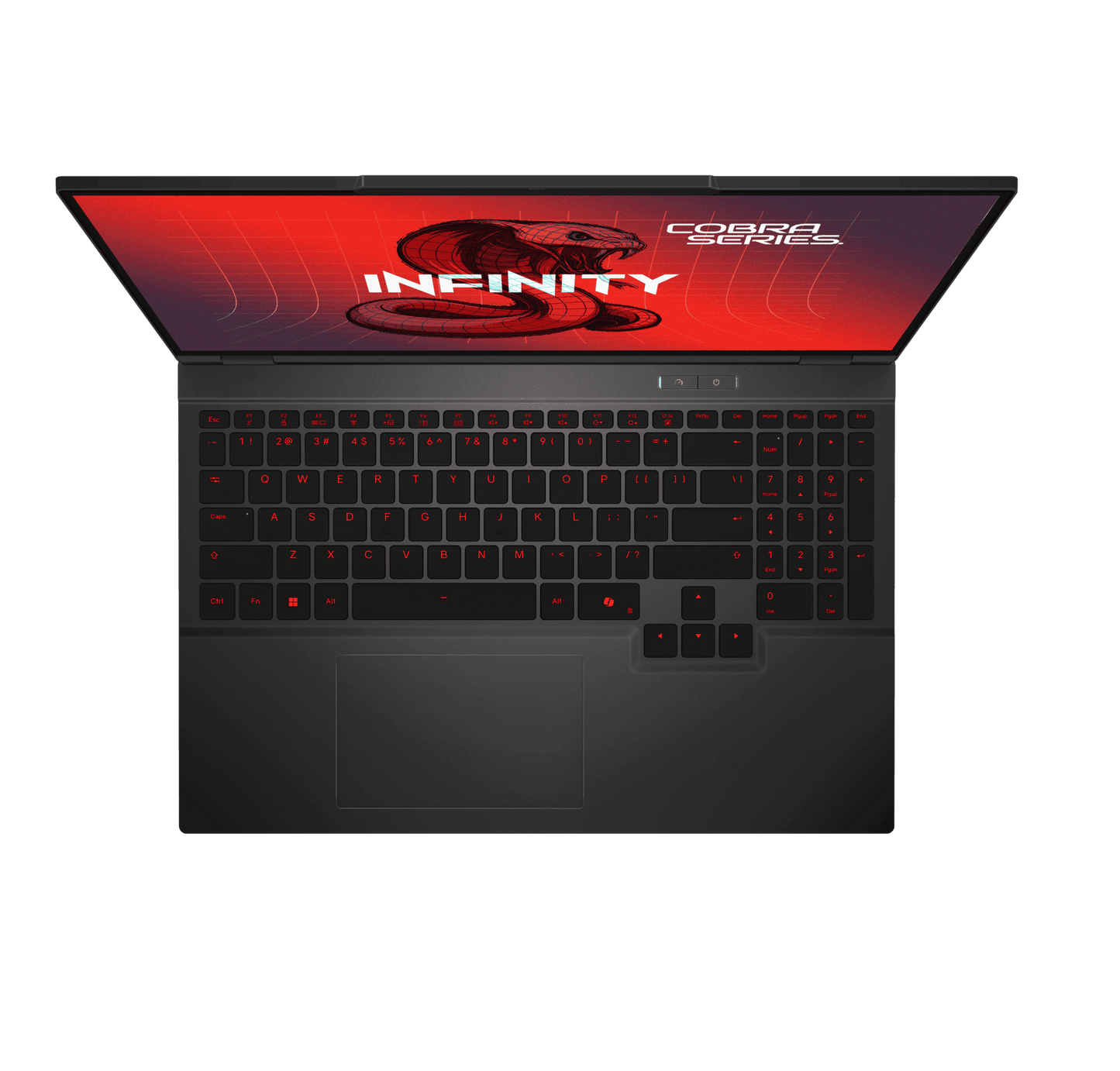 INFINITY COBRA 6 (WQXGA) GAMING NOTEBOOK (MODEL COBRA 6-DRAR9-899)