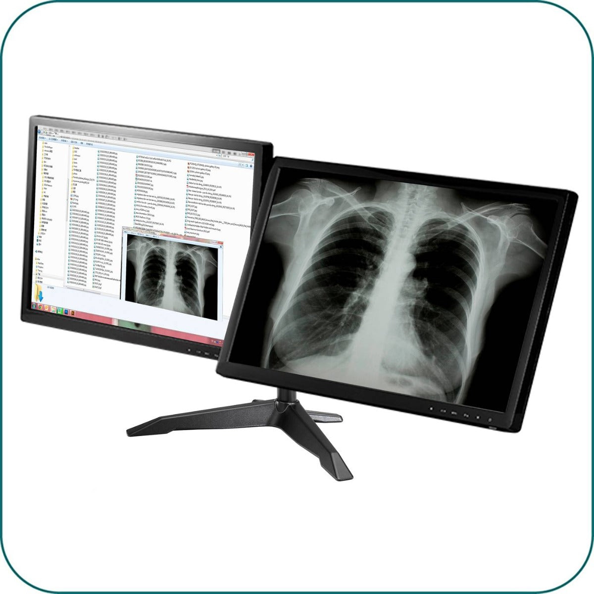 AAVARA DS200 FREESTANDING DUAL MONITOR STAND