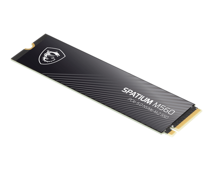 1TB MSI SPATIUM M560 M.2 SSD