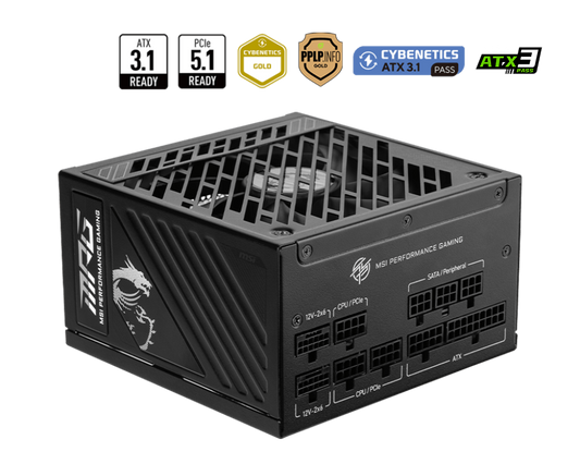 850W MSI MPG A850GS PCIE5 POWER SUPPLY