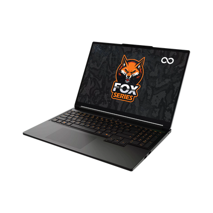 INFINITY FOX 6 (WQXGA) GAMING NOTEBOOK (MODEL FOX 6-RPL7-899)