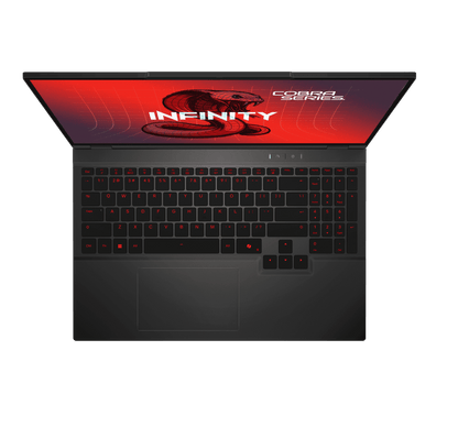 INFINITY COBRA 6 (WQXGA) GAMING NOTEBOOK (MODEL COBRA 6-DRAR9-899)