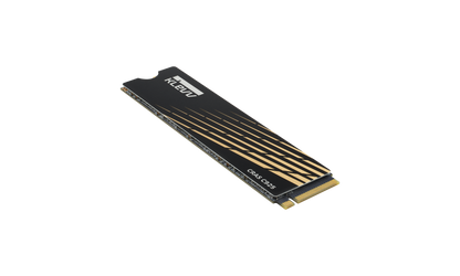 1TB KLEVV CRAS C925 M.2 SSD