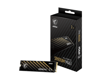 2TB MSI SPATIUM M461 M.2 SSD