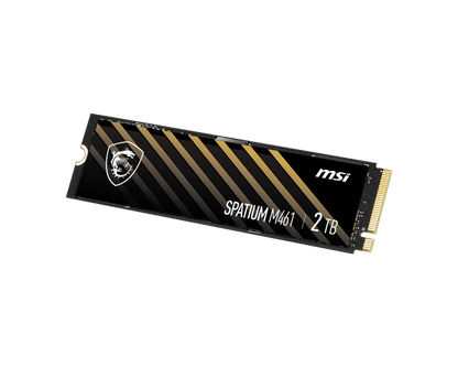 2TB MSI SPATIUM M461 M.2 SSD