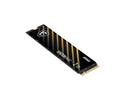 2TB MSI SPATIUM M461 M.2 SSD